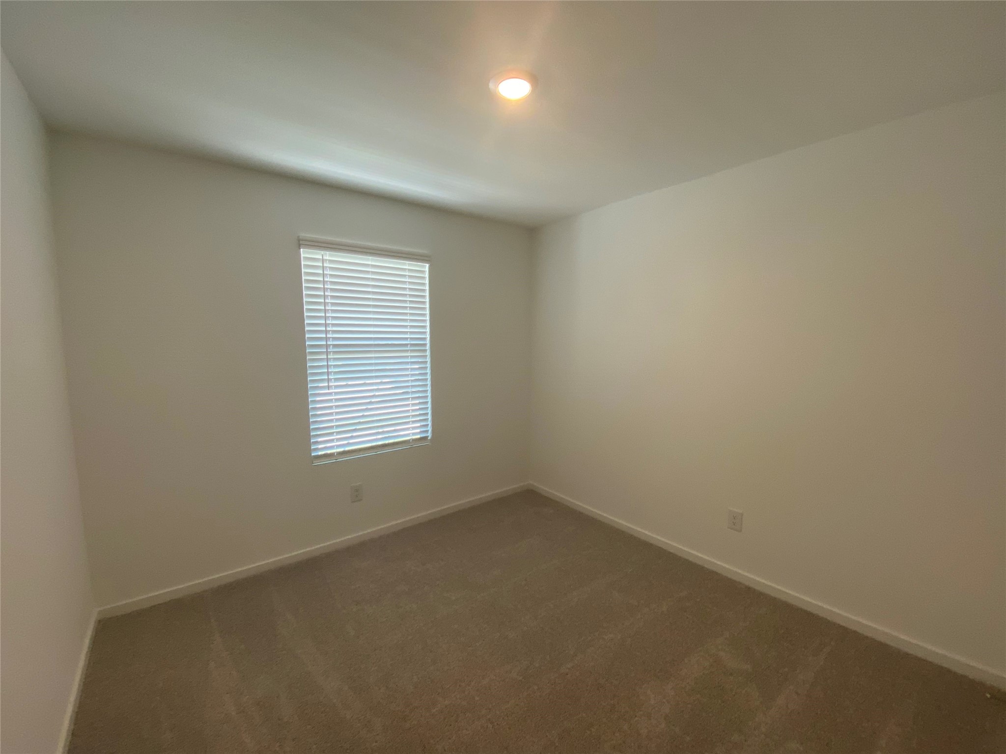 917 Shady Oaks Drive