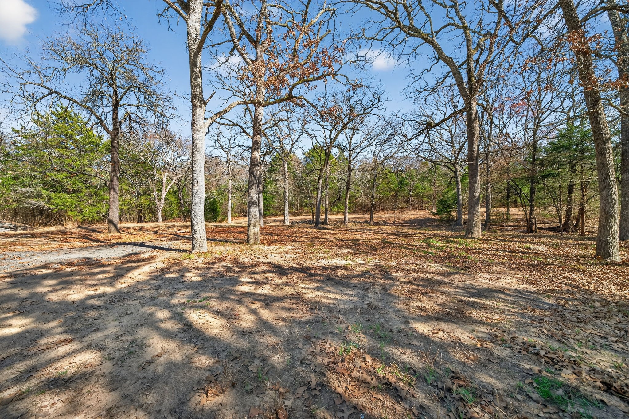 6938 County Road 3512