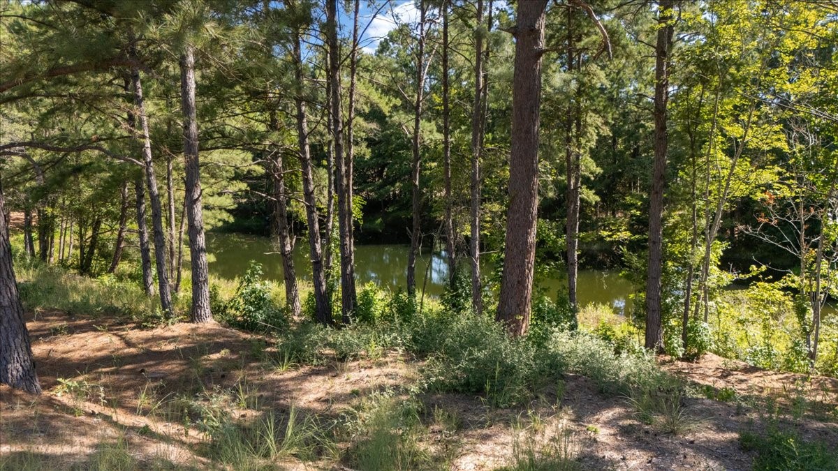 1000 County Road 1208