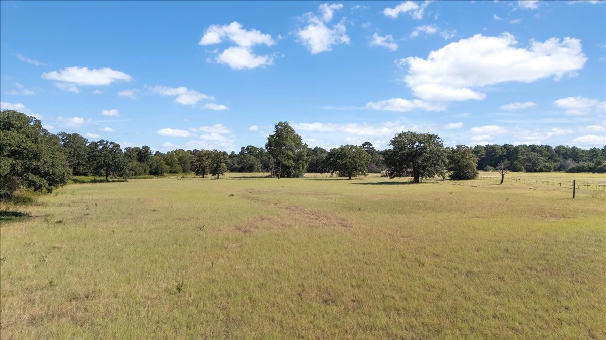 1000 County Road 1208