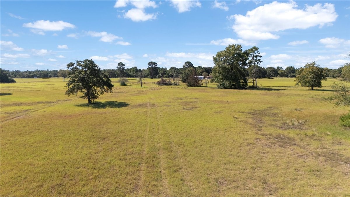 1000 County Road 1208