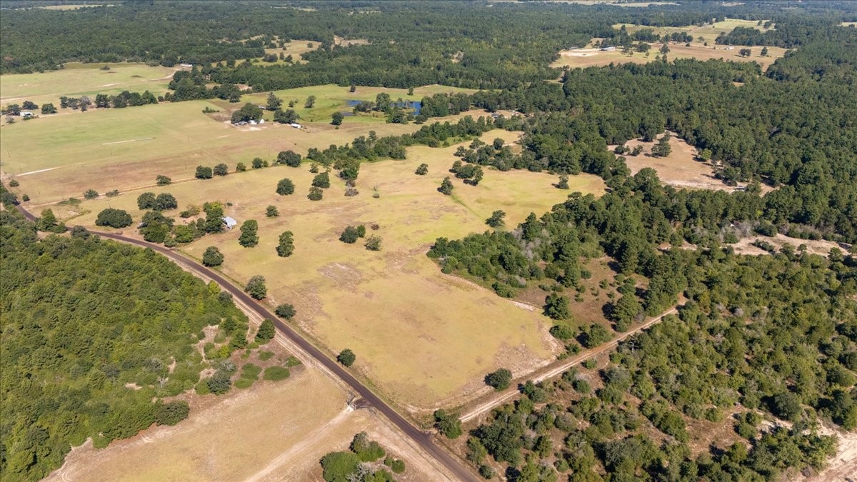 1000 County Road 1208