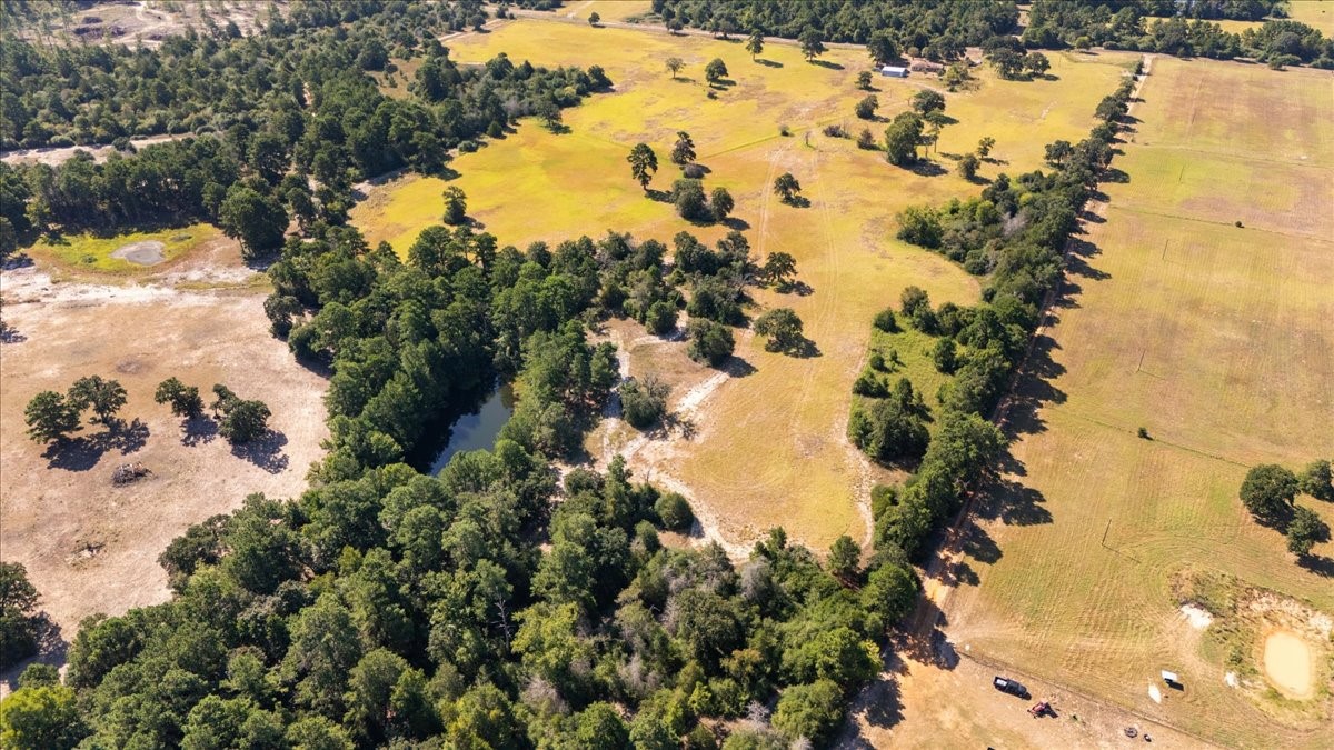 1000 County Road 1208