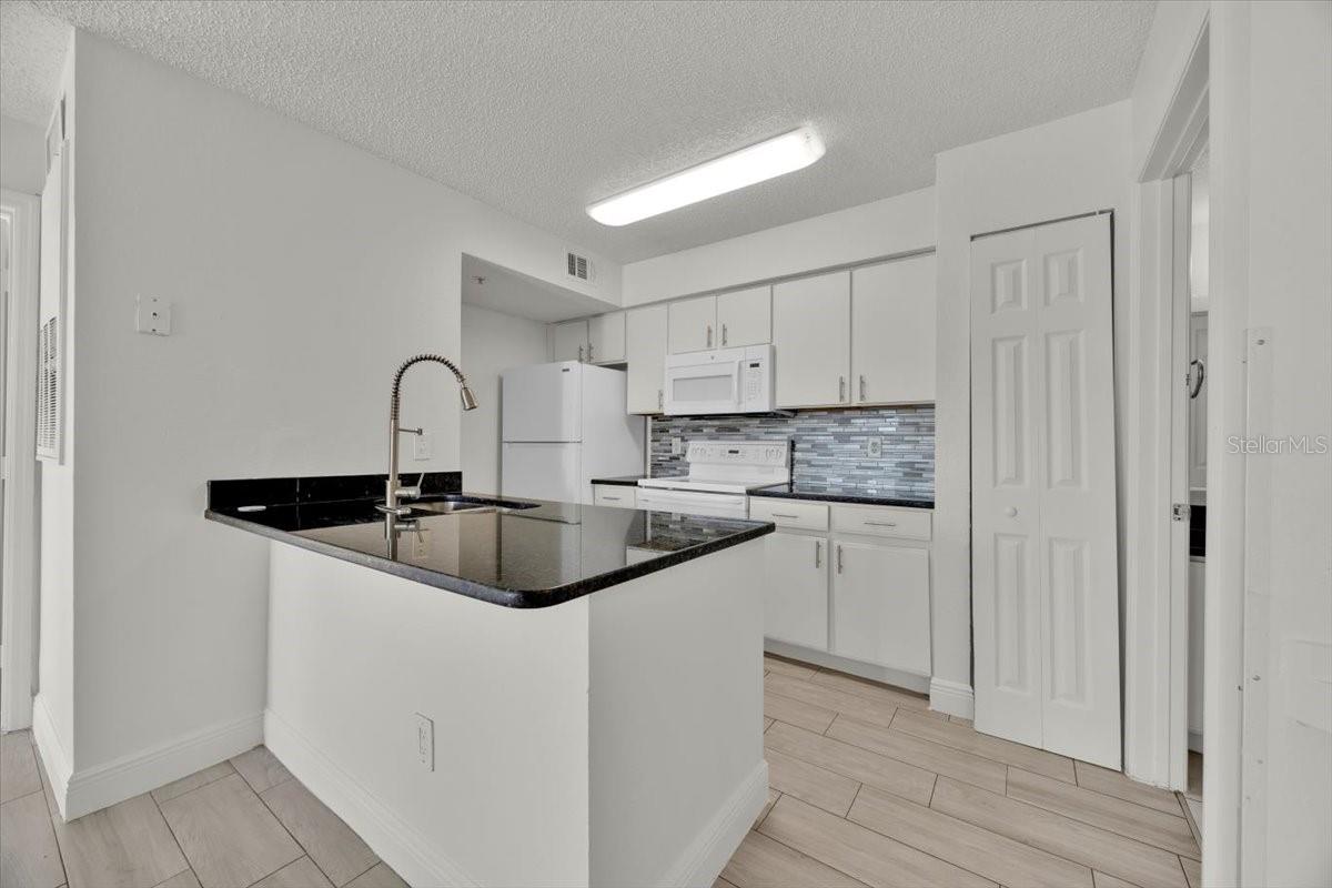 2212 GRAND CAYMAN CT #1617