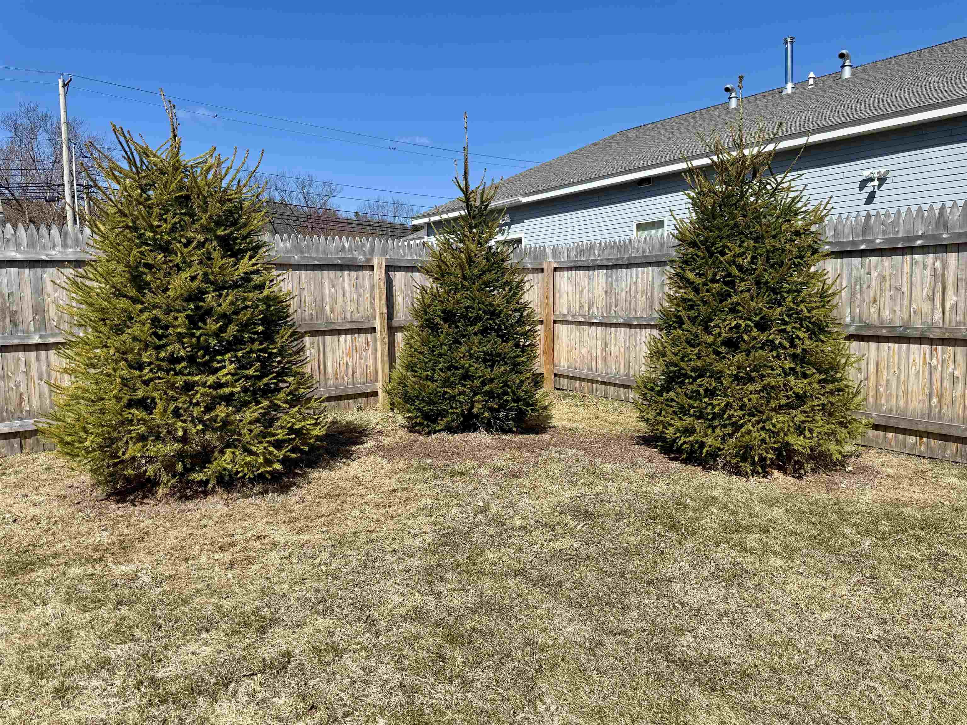 6 Demers Avenue