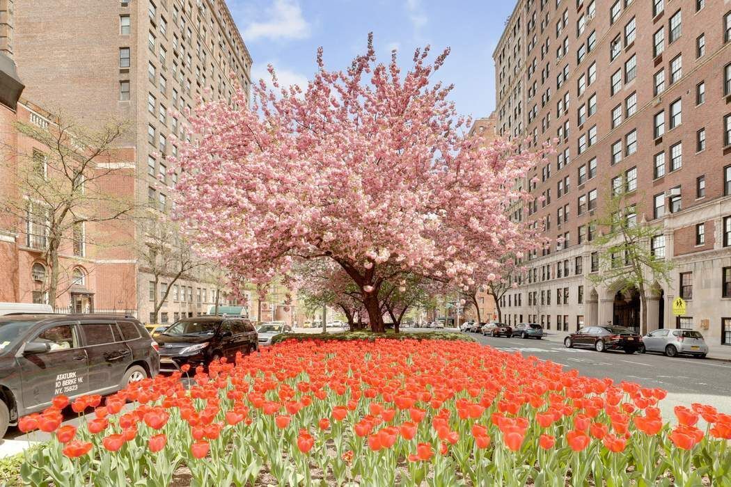 40 E 94th Street 18B