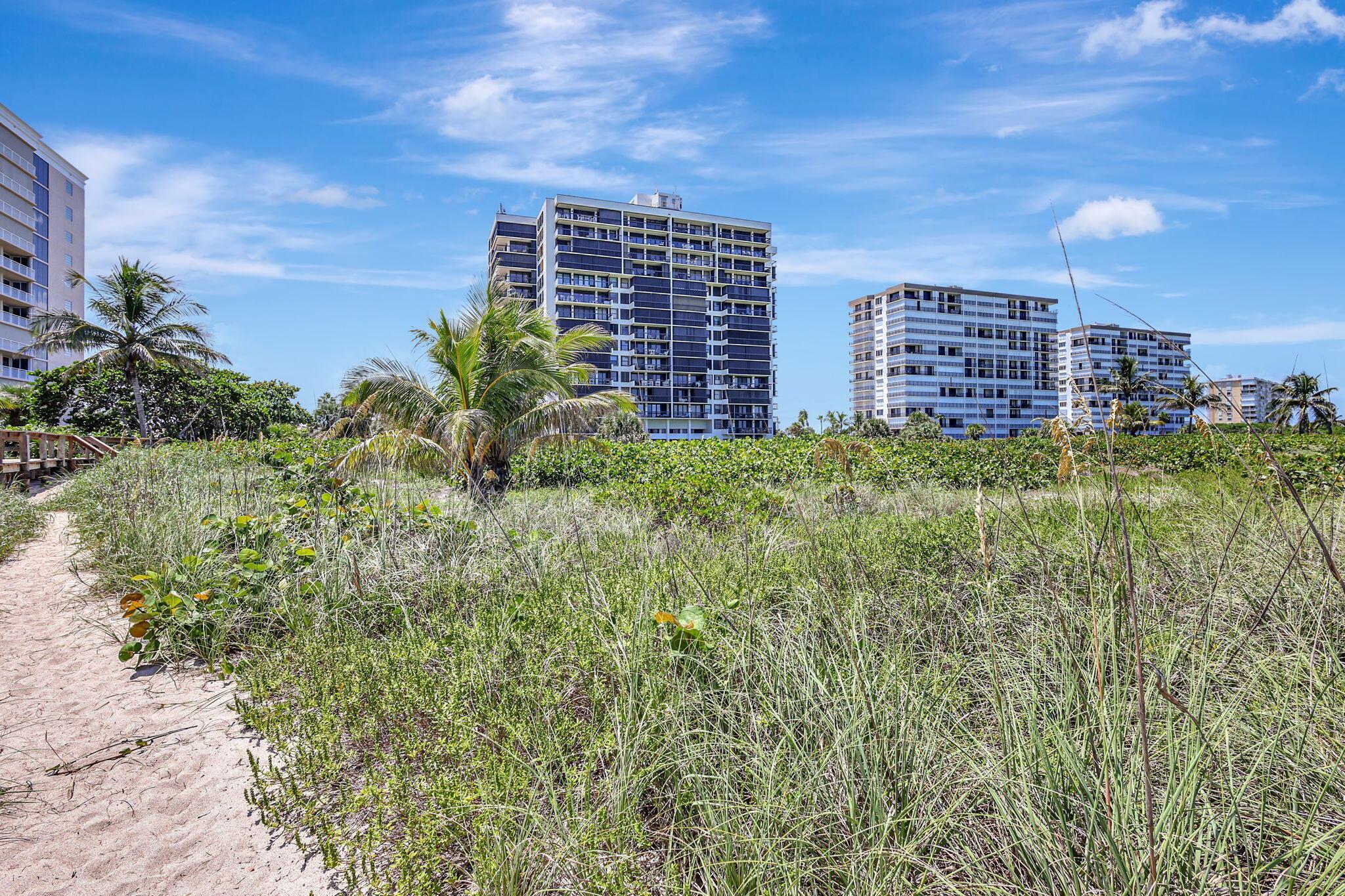 3100 N Highway A1a 1105