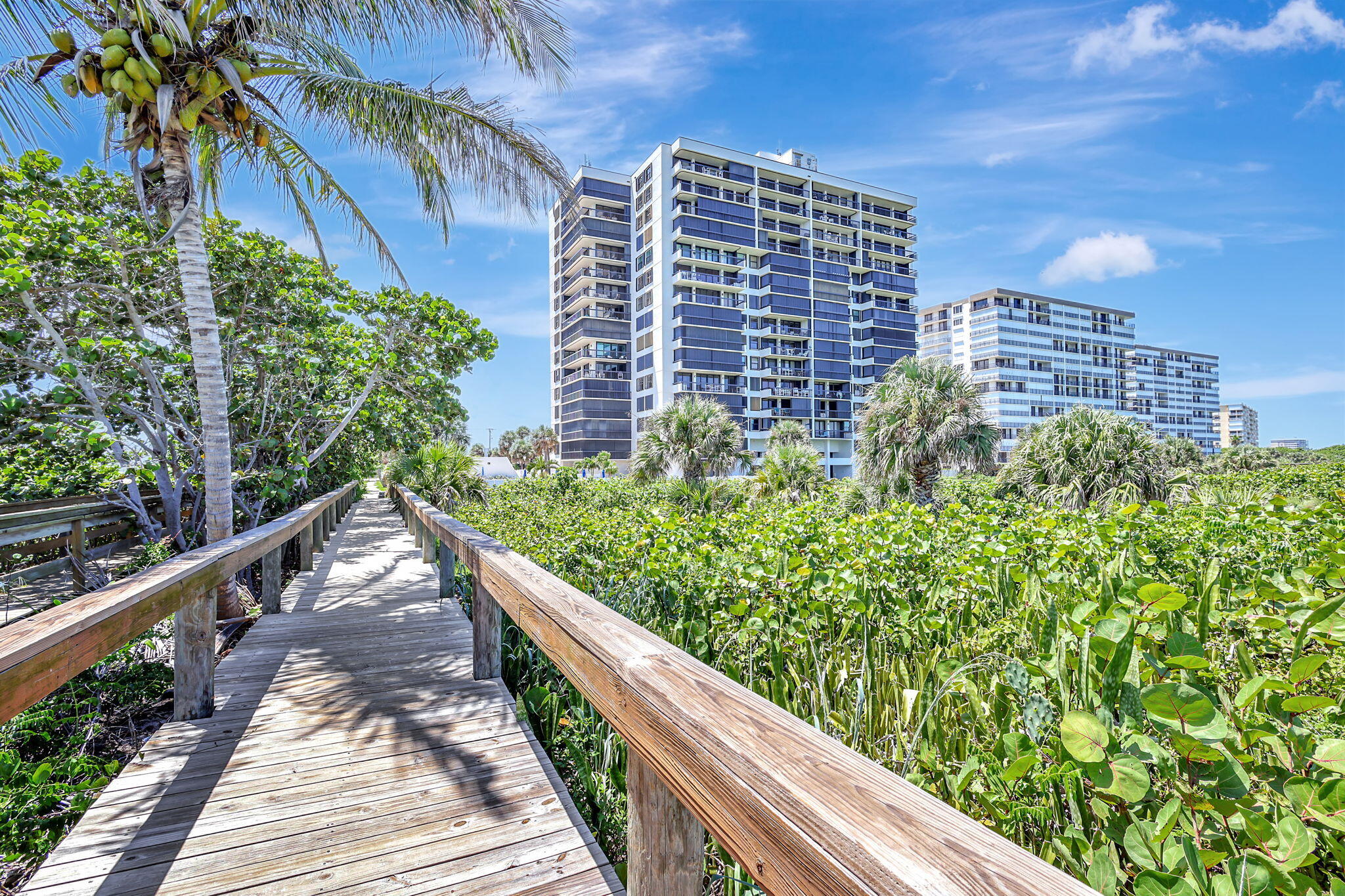 3100 N Highway A1a 1105