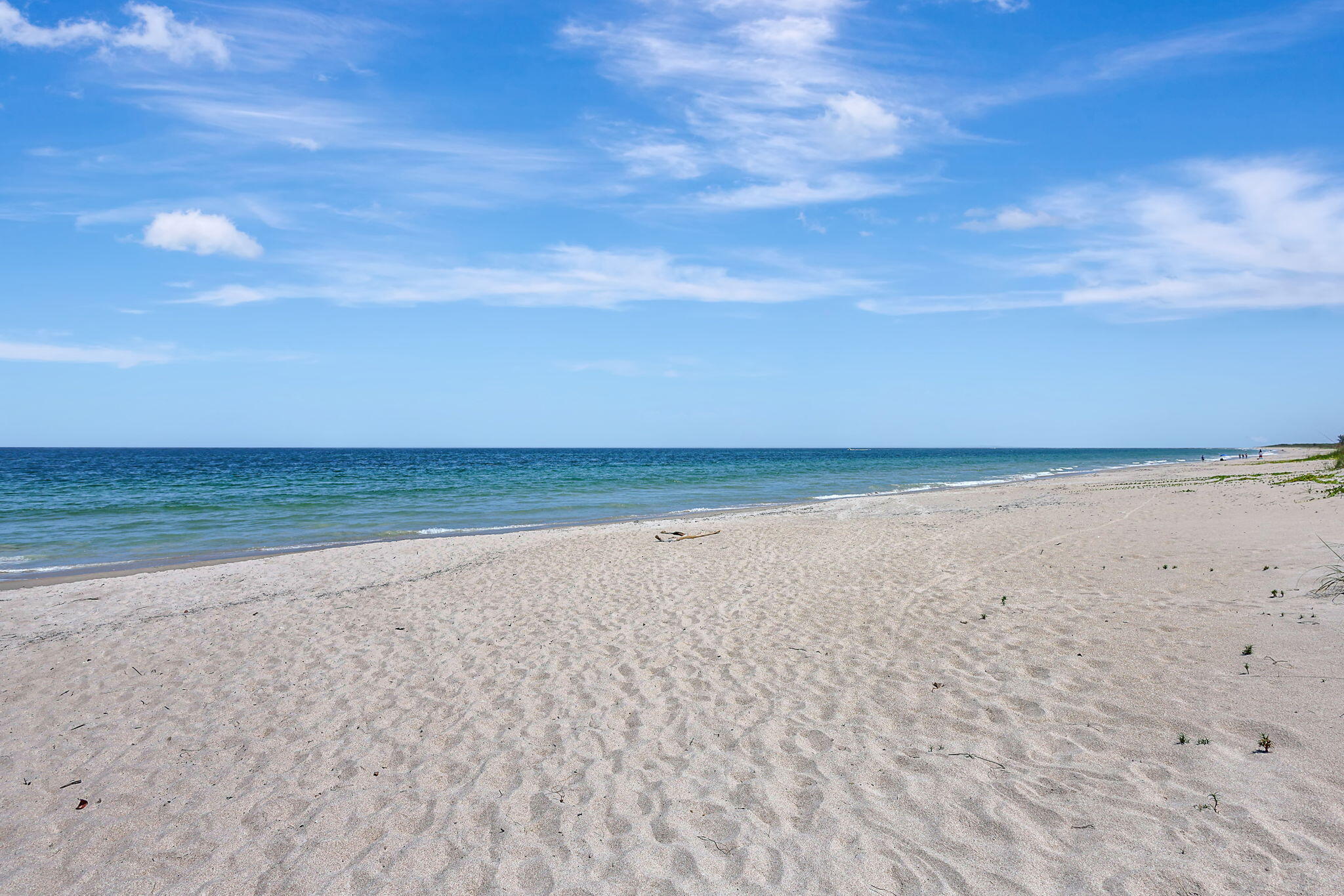 3100 N Highway A1a 1105