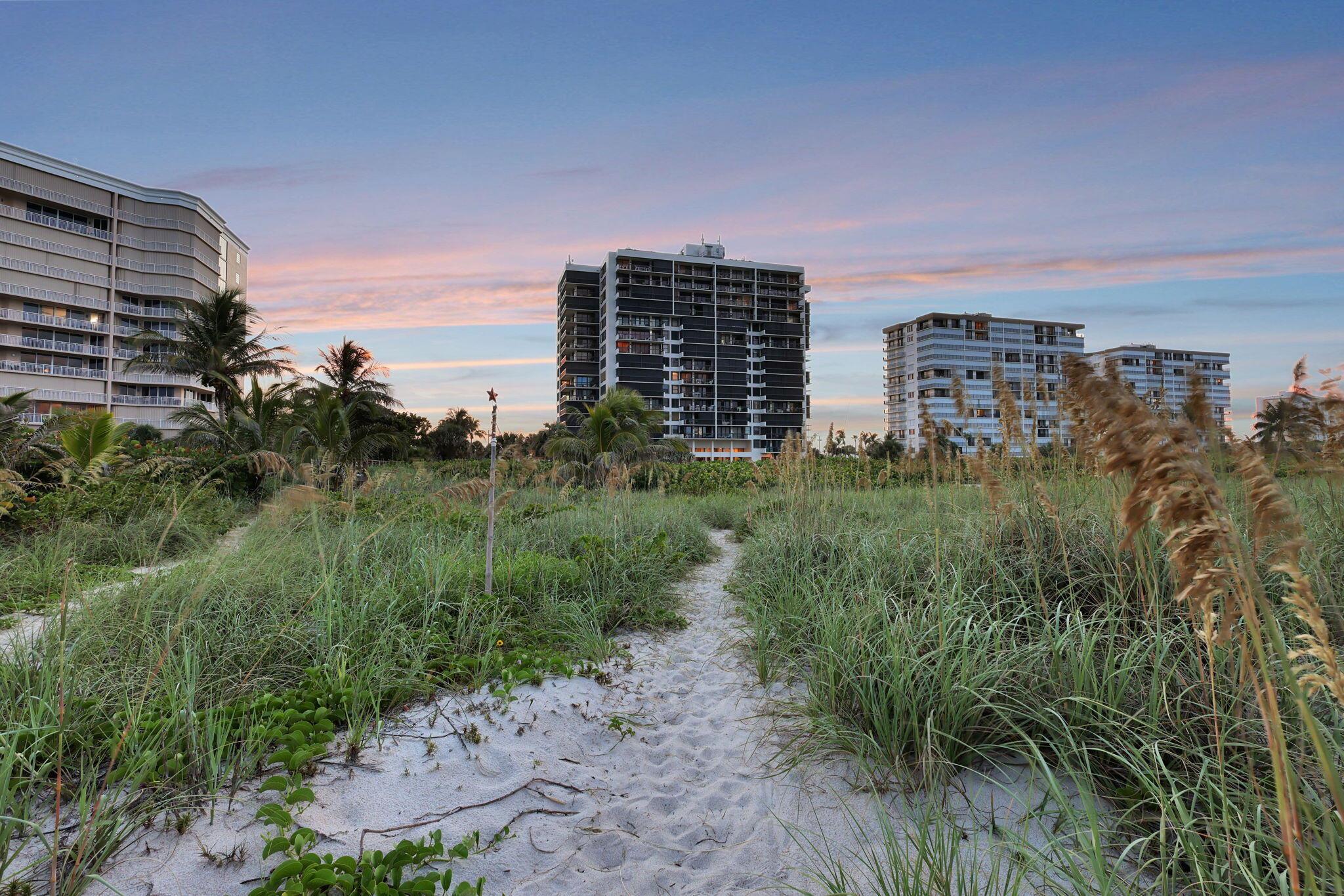 3100 N Highway A1a 1105