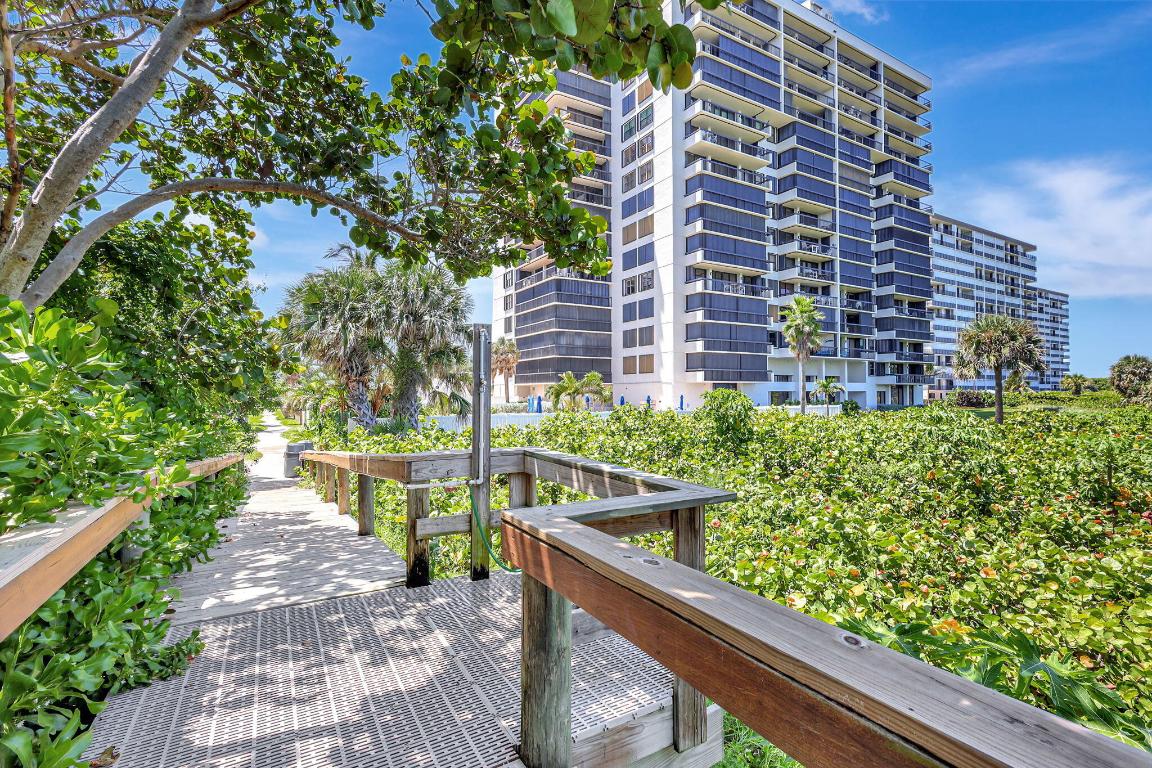 3100 N Highway A1a 1105