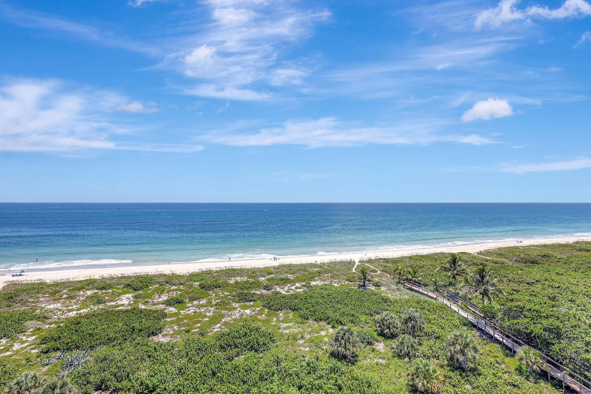 3100 N Highway A1a 1105