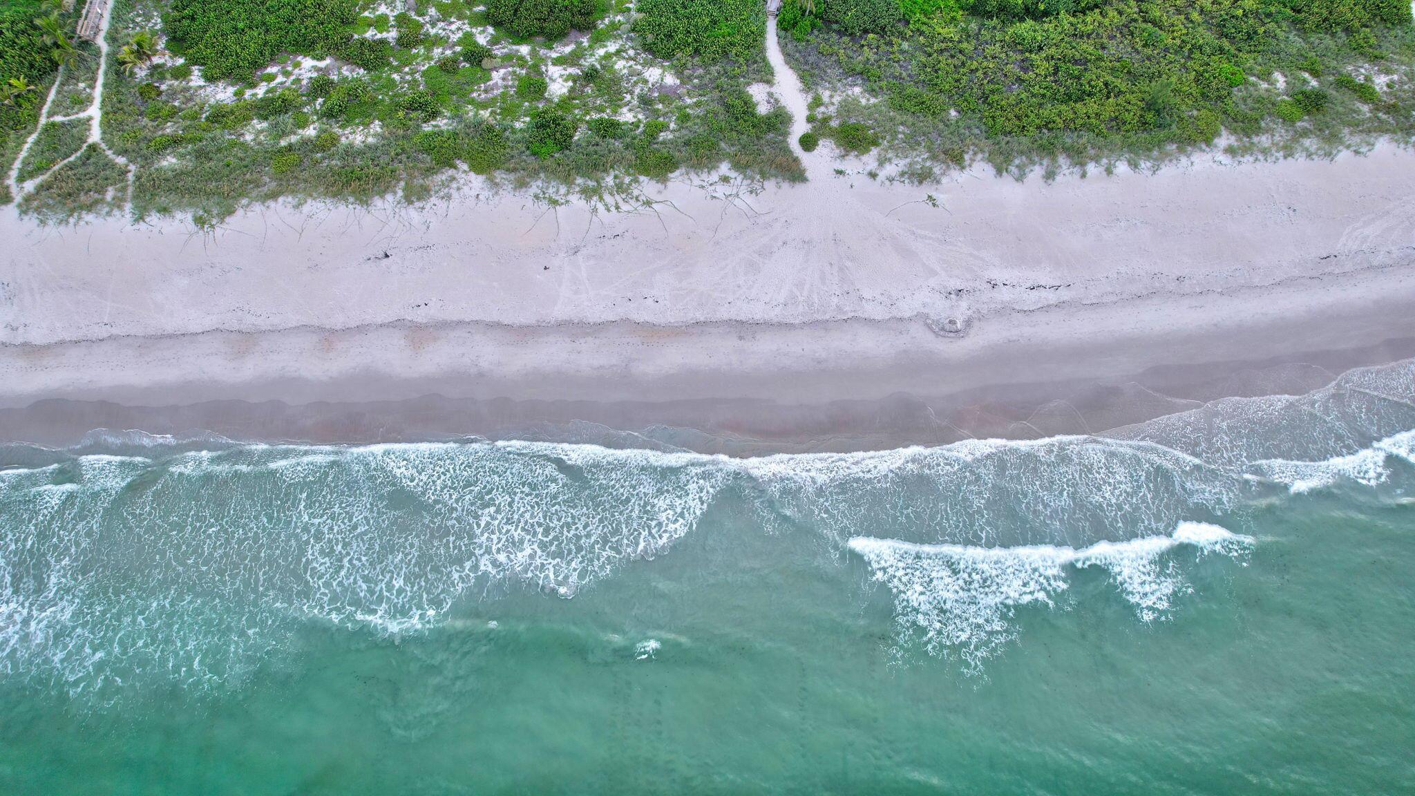 3100 N Highway A1a 1105