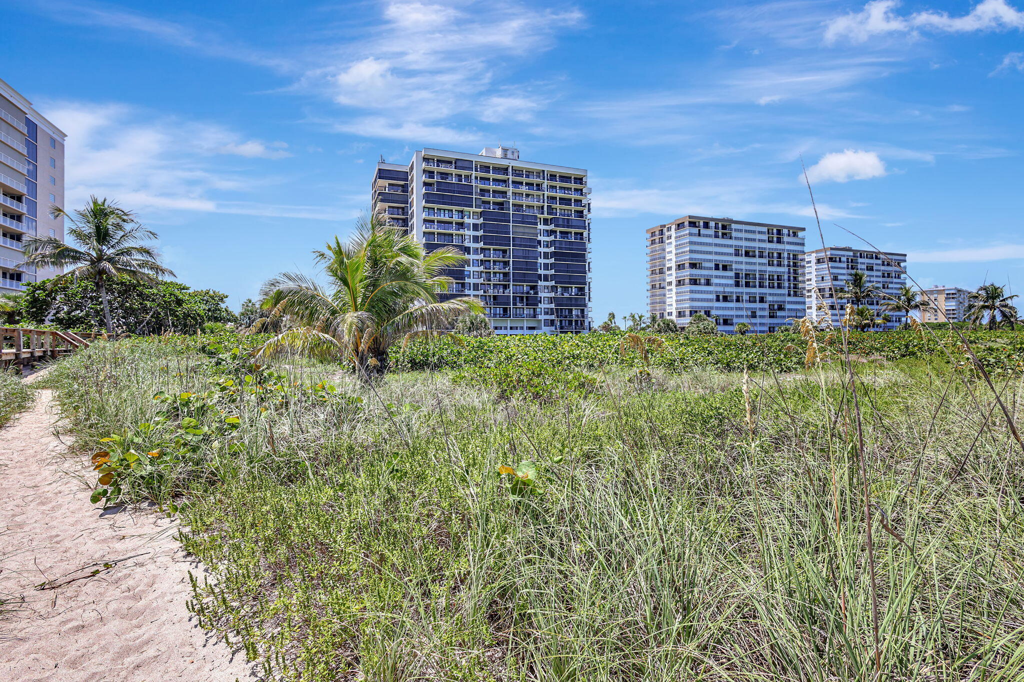 3100 N Highway A1a 1105