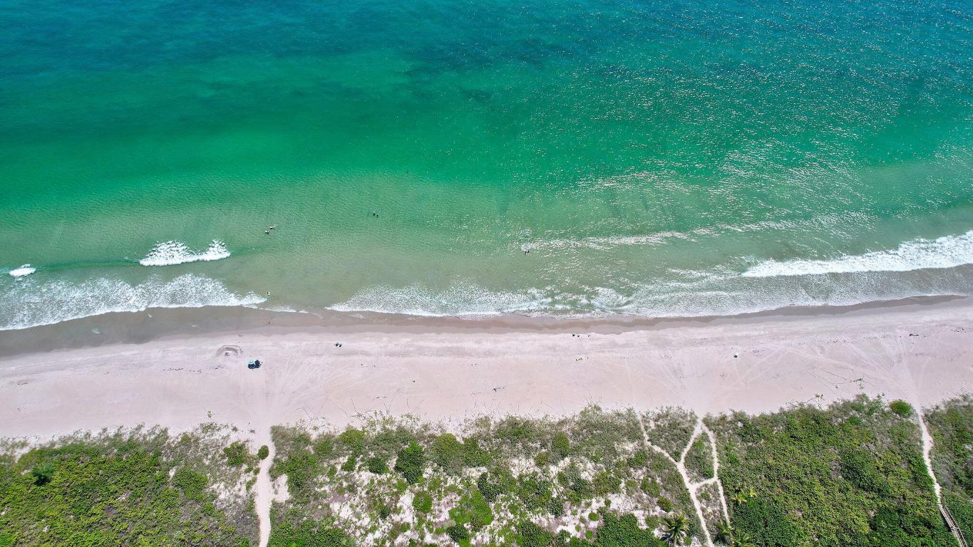 3100 N Highway A1a 1105