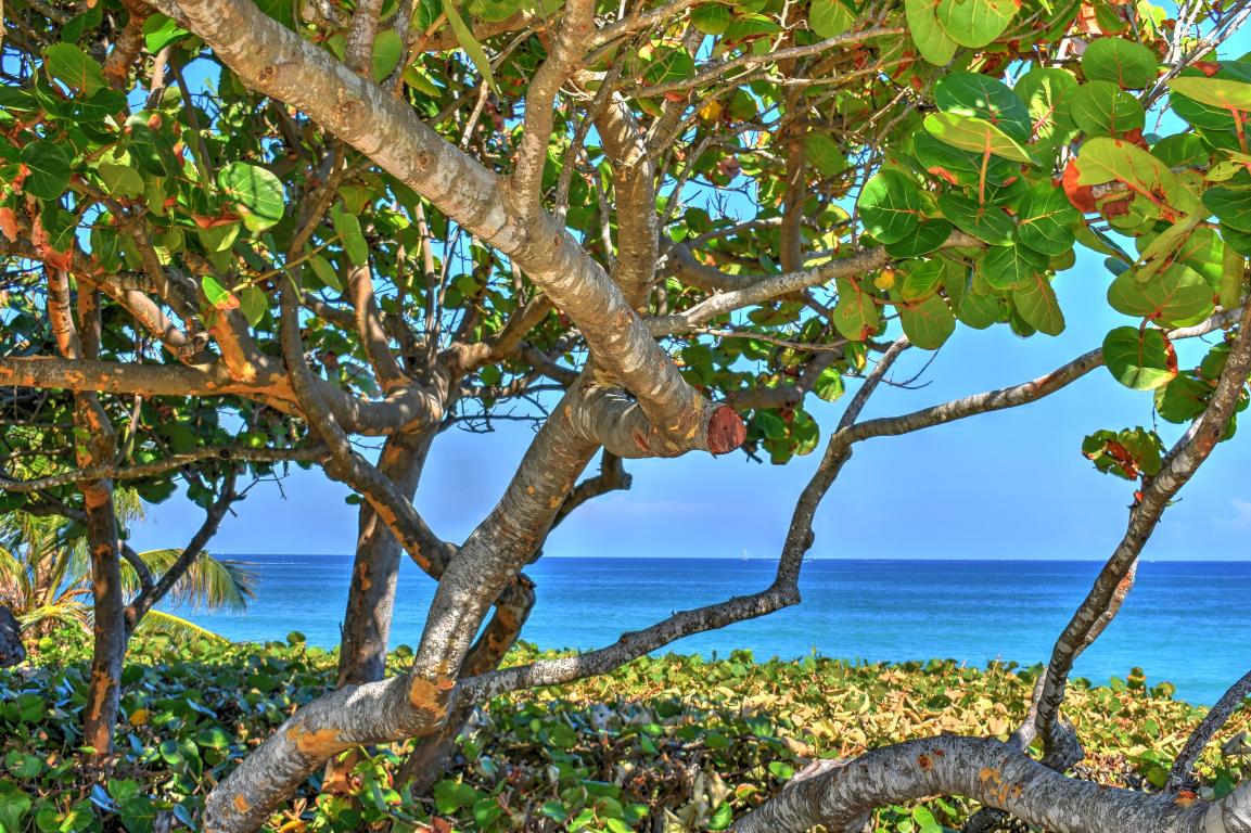 1301 Seafarer 305 Circle 305