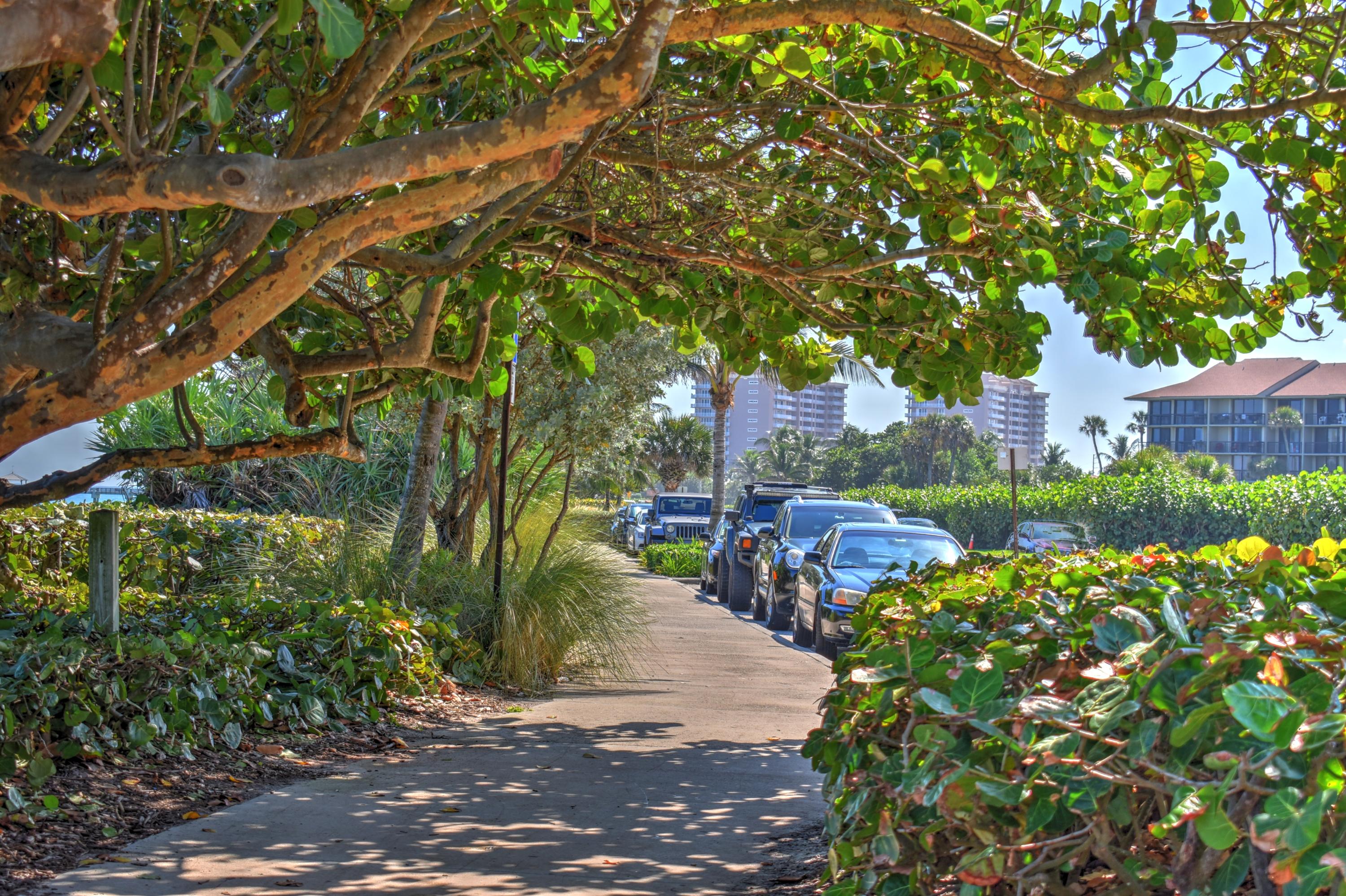 1301 Seafarer 305 Circle 305