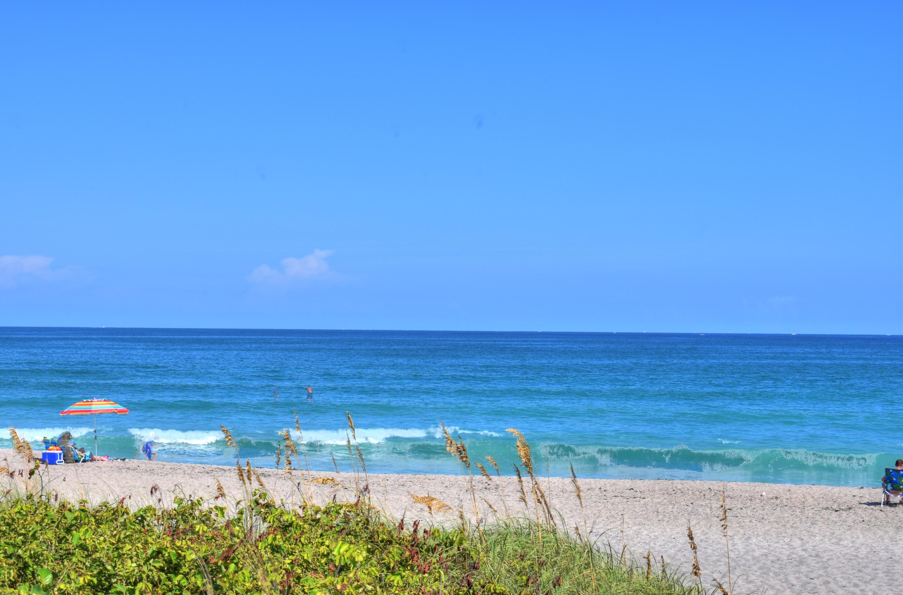 1301 Seafarer 305 Circle 305