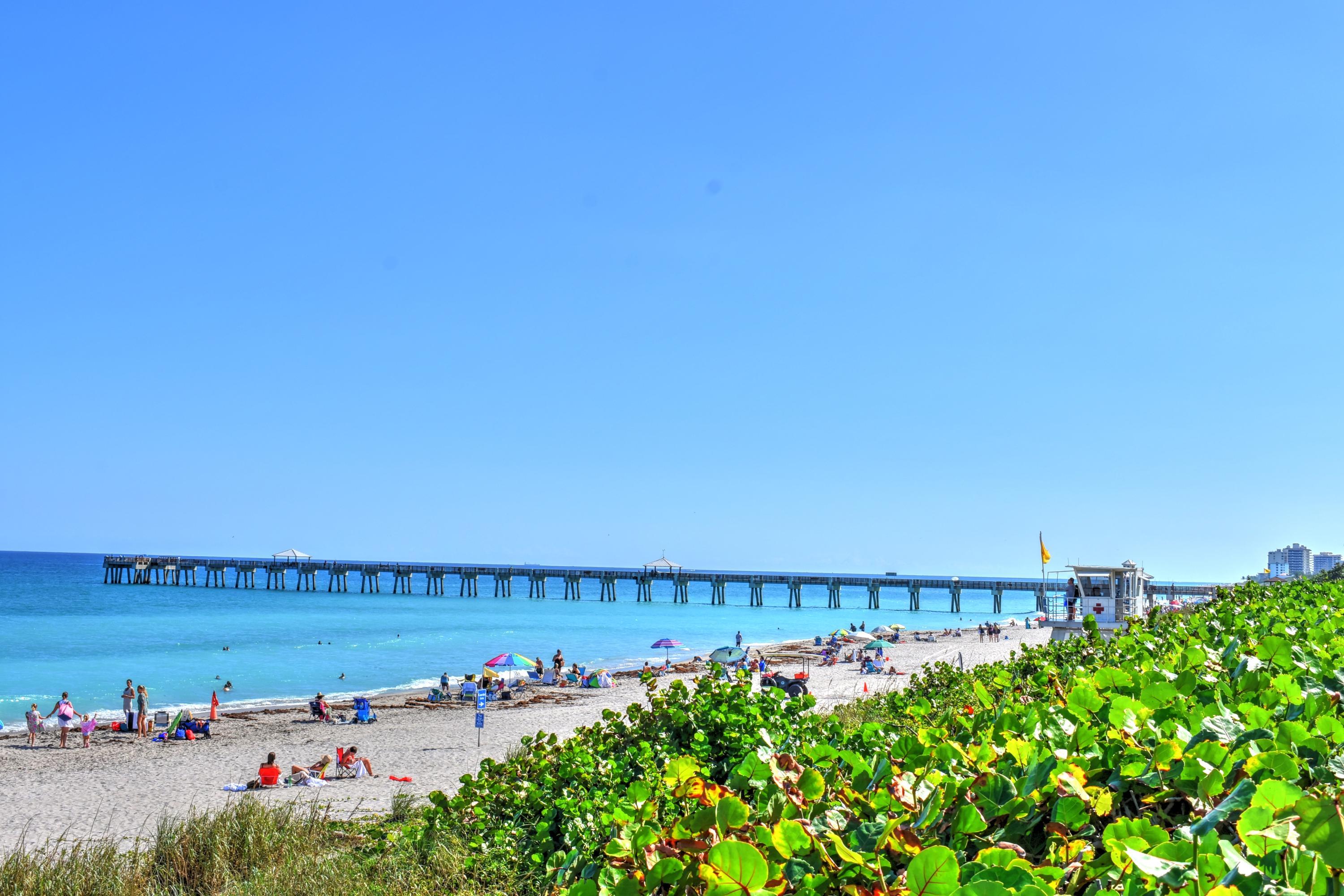 1301 Seafarer 305 Circle 305