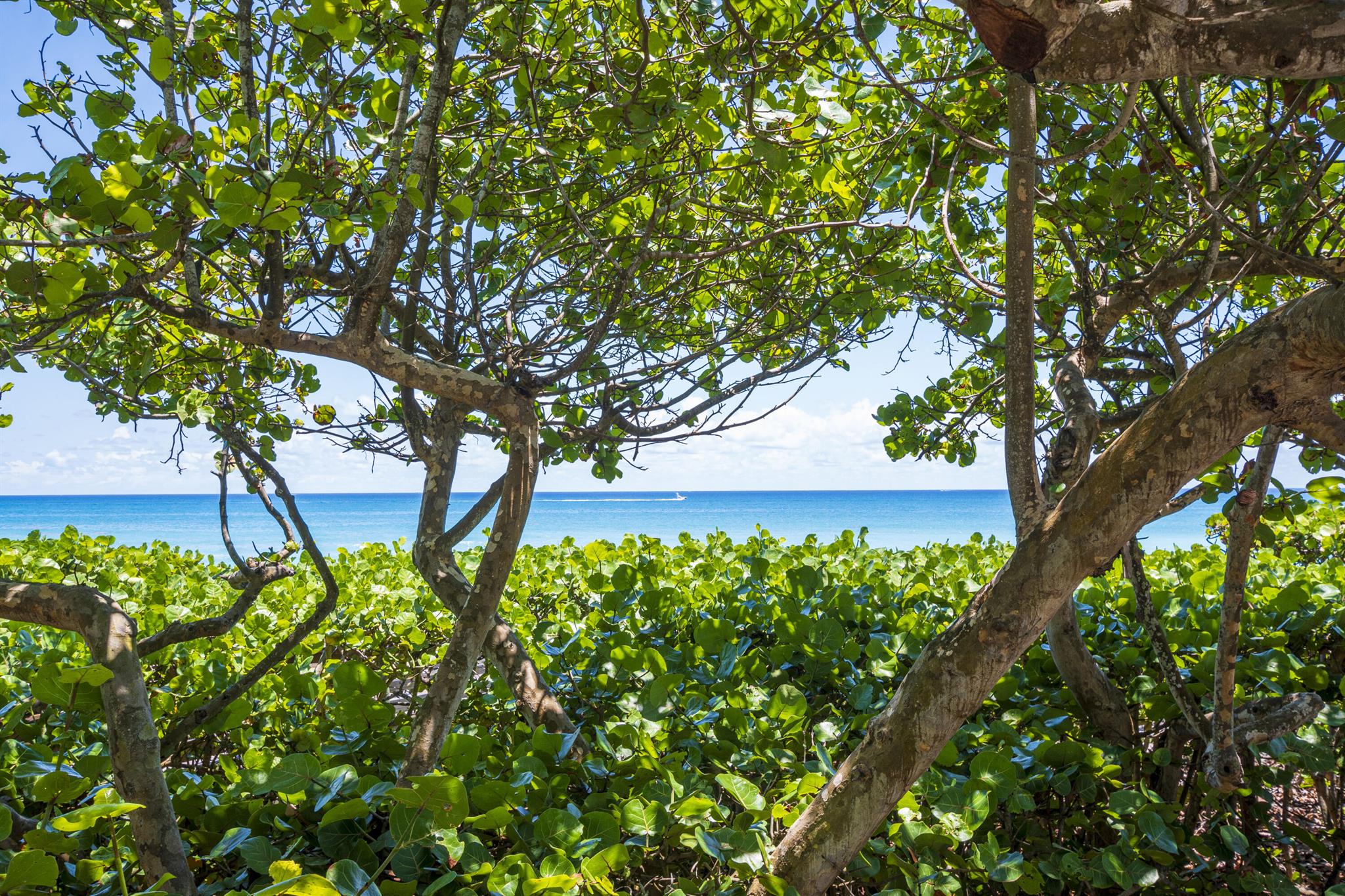 200 Ocean Trail Way 305