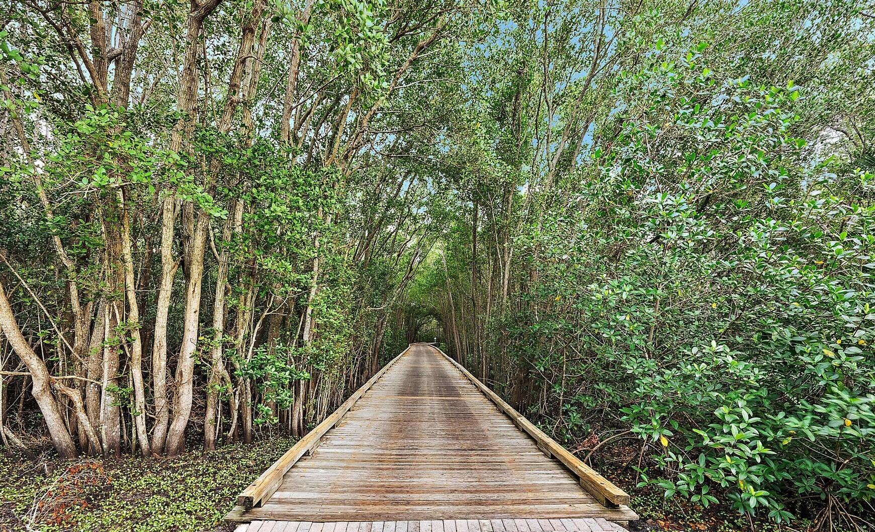 9790 SE Crape Myrtle Court