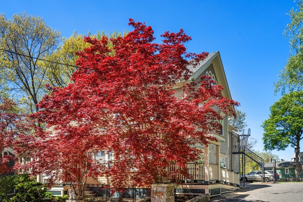 12-14 Harris Ave