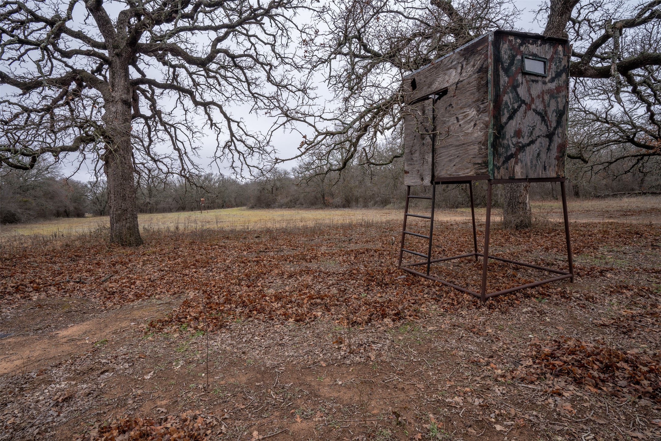 800 County Road 463