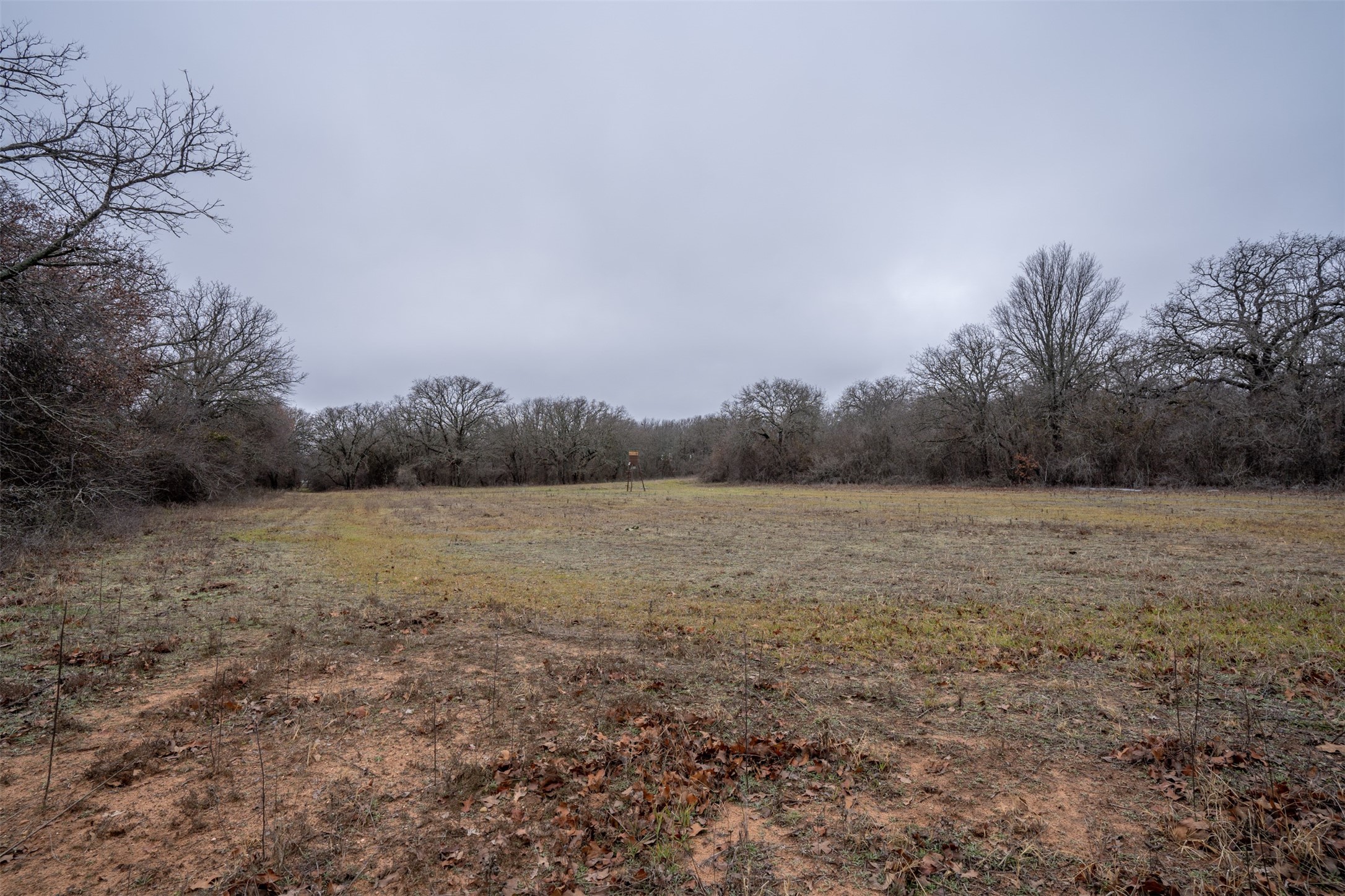 800 County Road 463