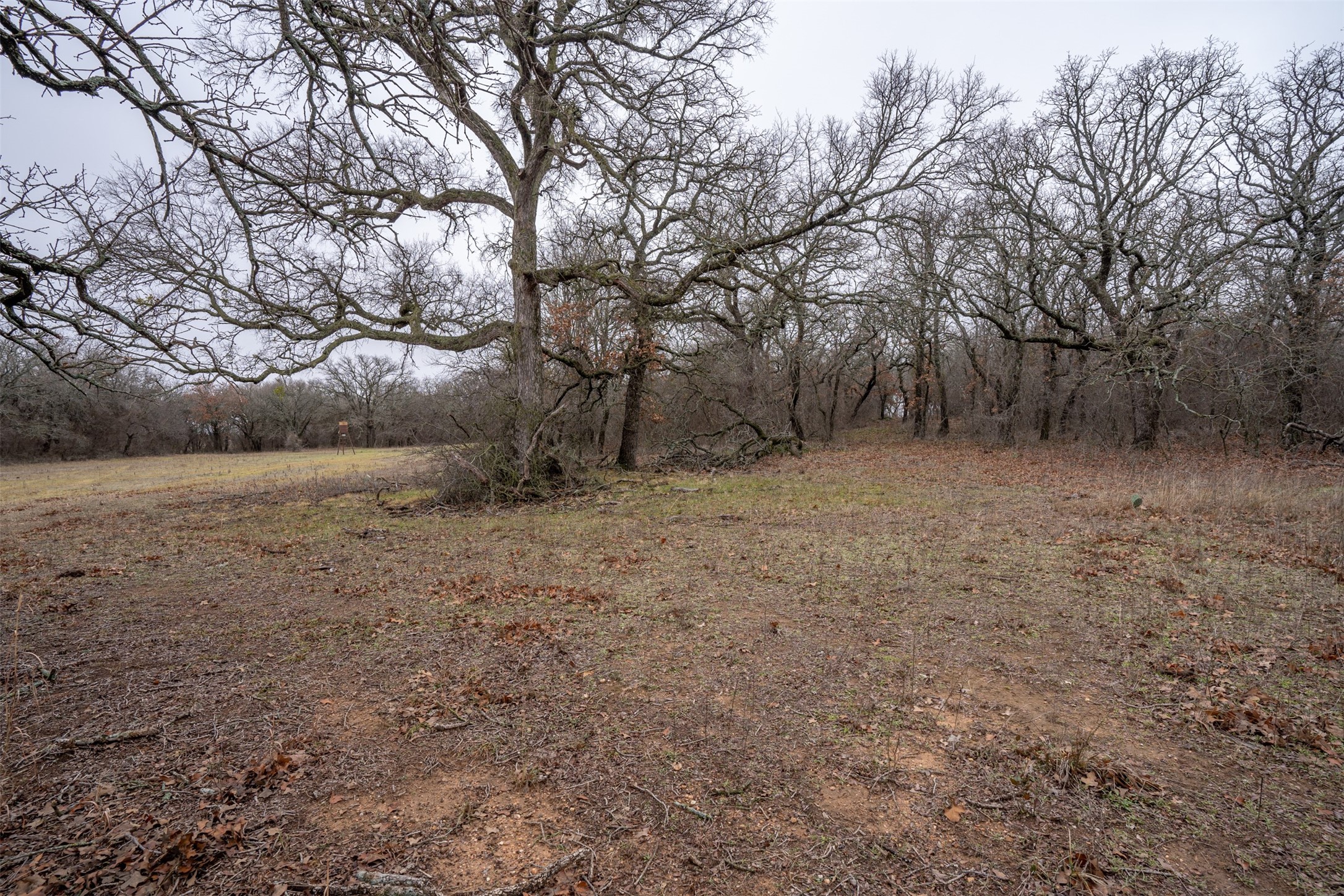 800 County Road 463