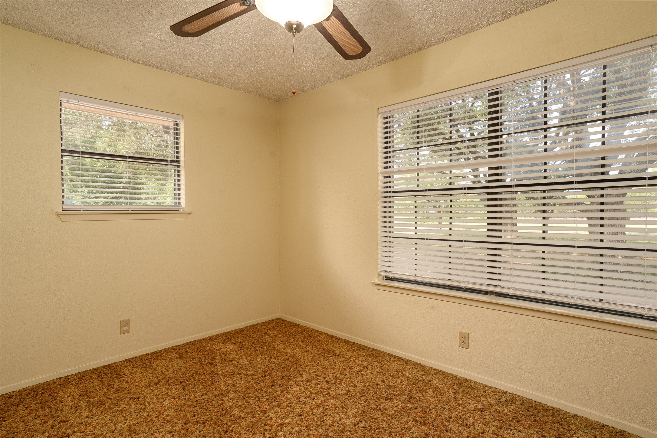 1548 County Road 1109b