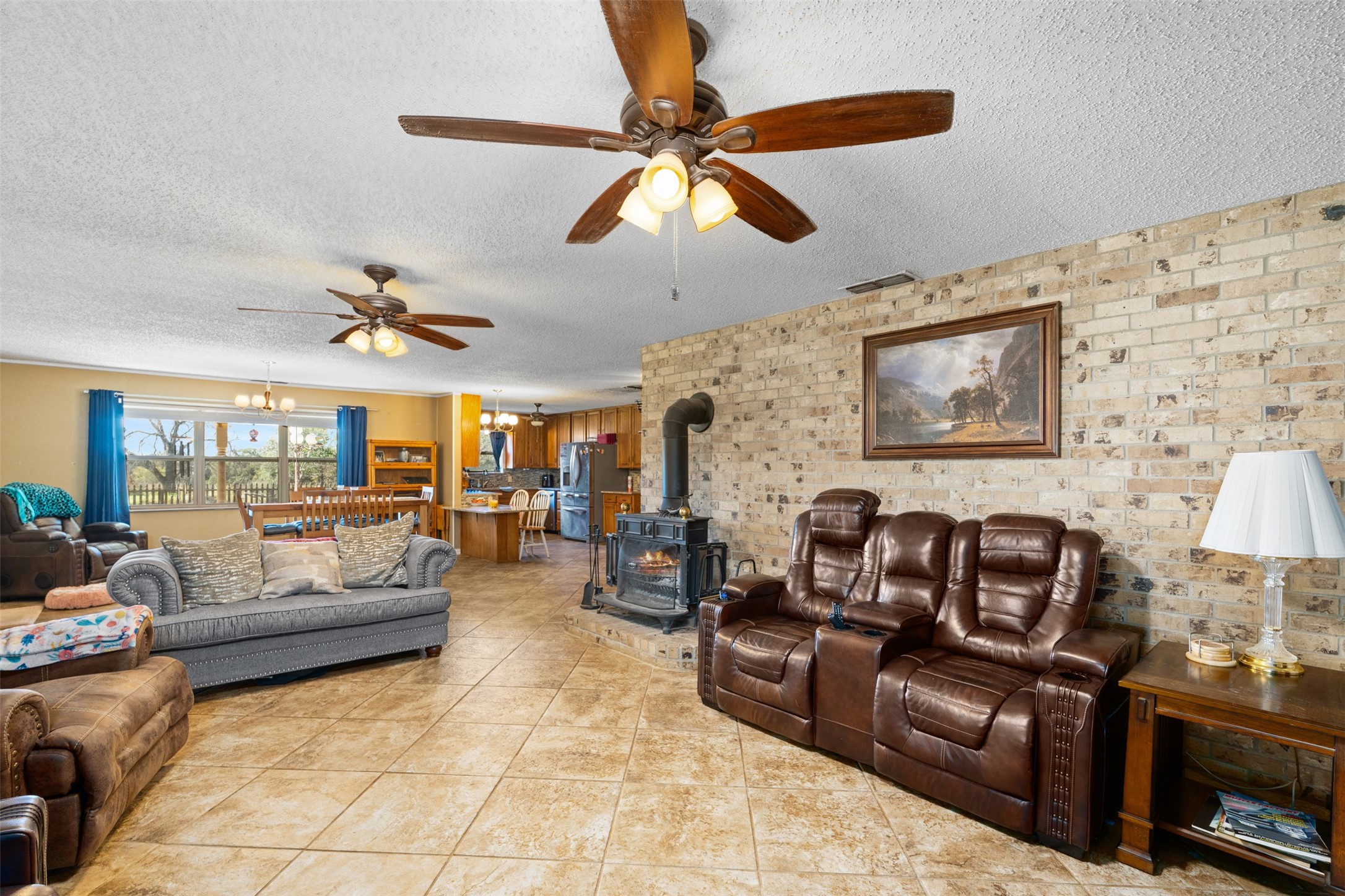 315 E Ladybird Lane
