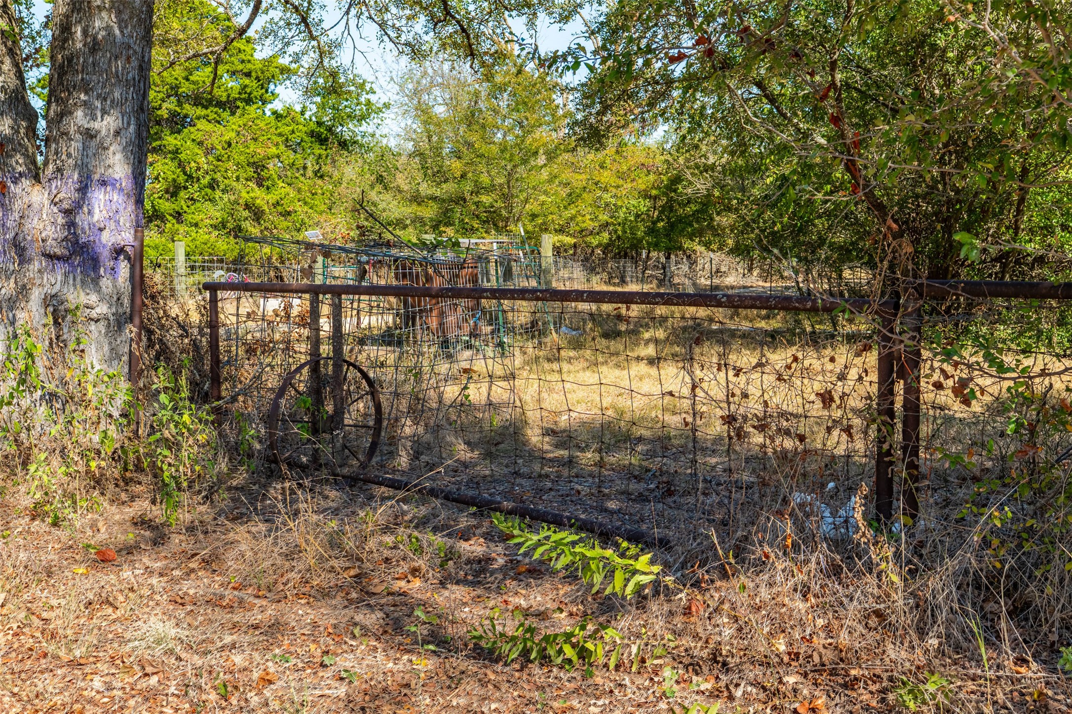 2308 County Road 801c Road