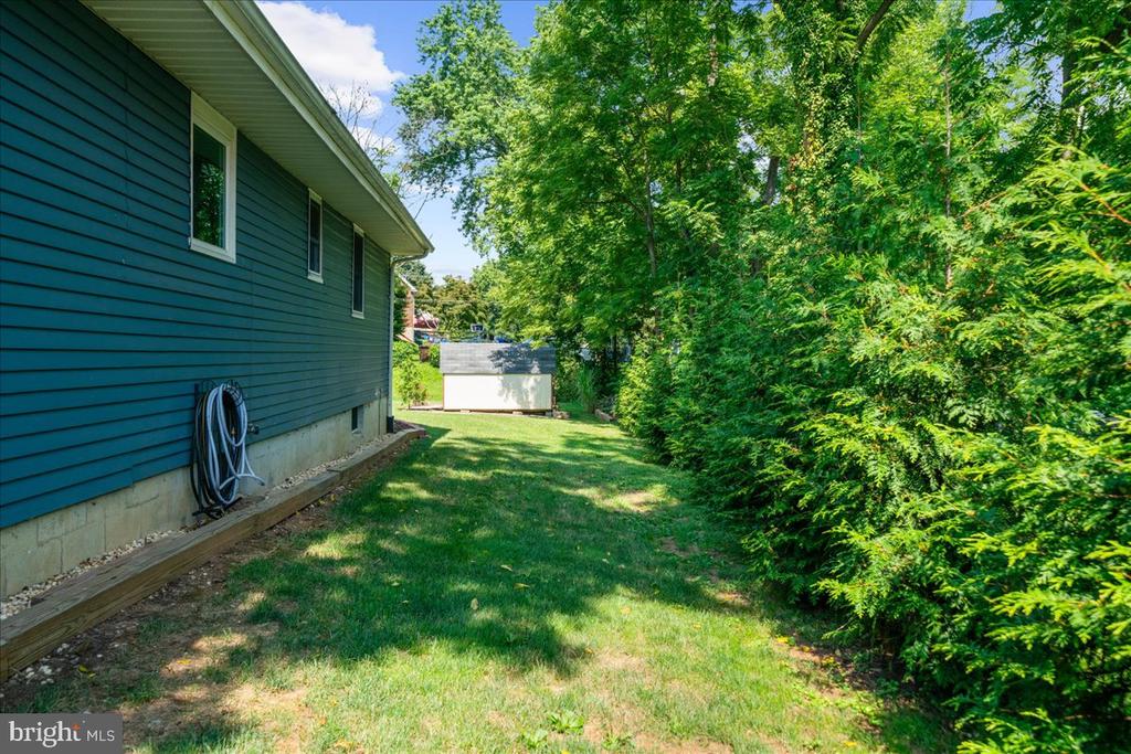 Teal-sided house beside a grassy side yard lined with dense evergreen shrubs.