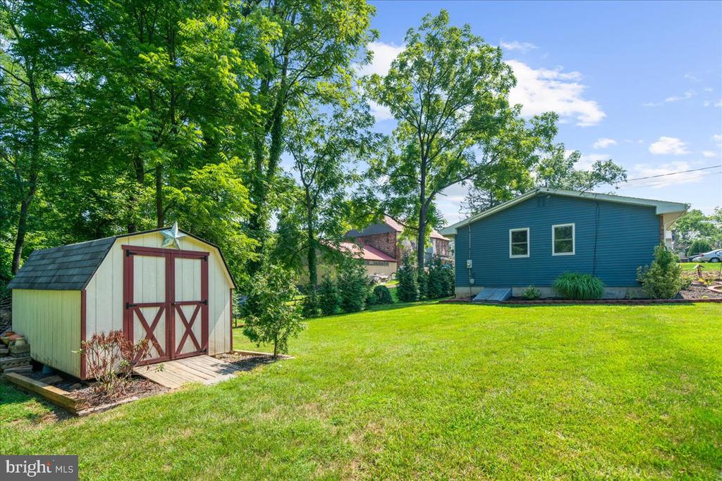 Backyard with a green lawn, mature trees, a storage shed, and a blue-sided house.