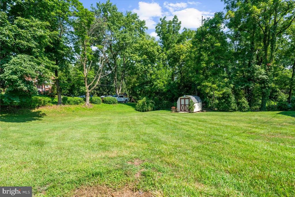 Large grassy backyard with a small shed and mature trees.
