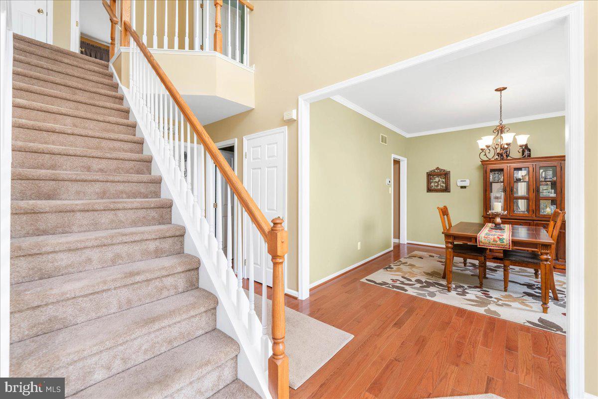 93 Overlook Cir