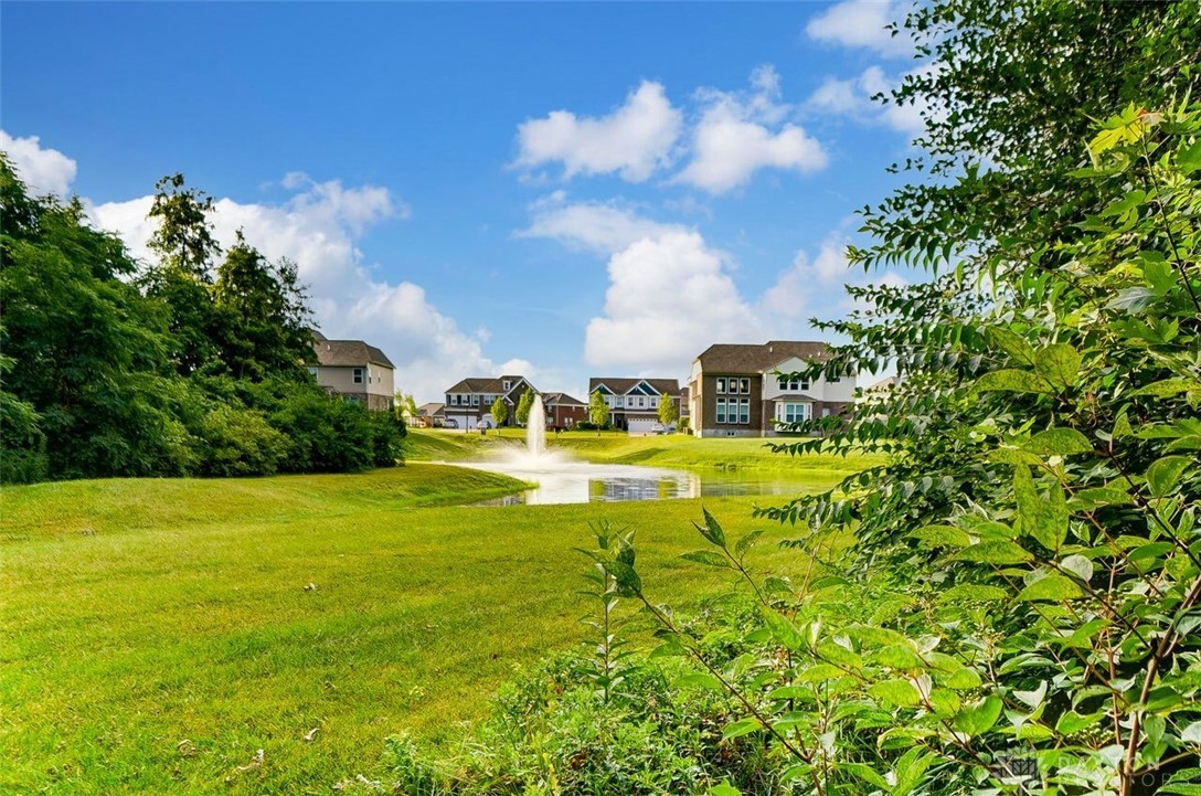 3361 Lady Palm Drive