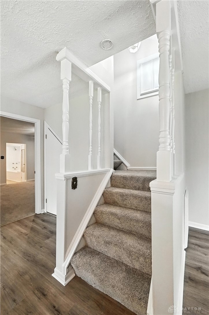 3009 Dry Run Road