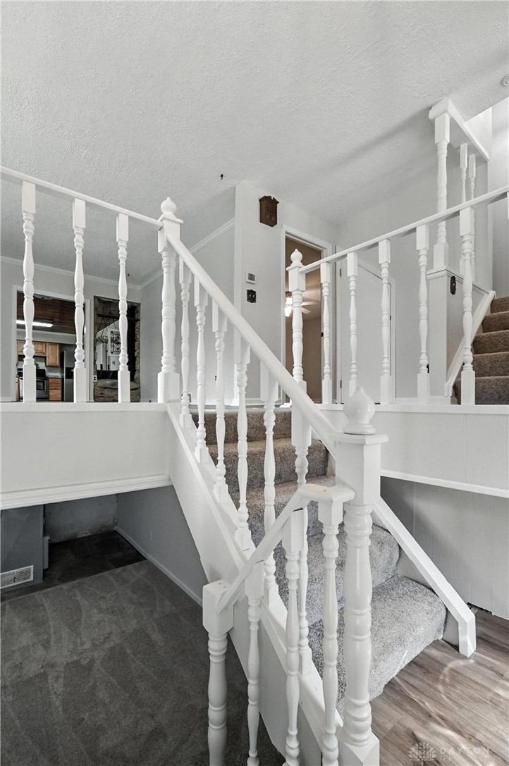 3009 Dry Run Road
