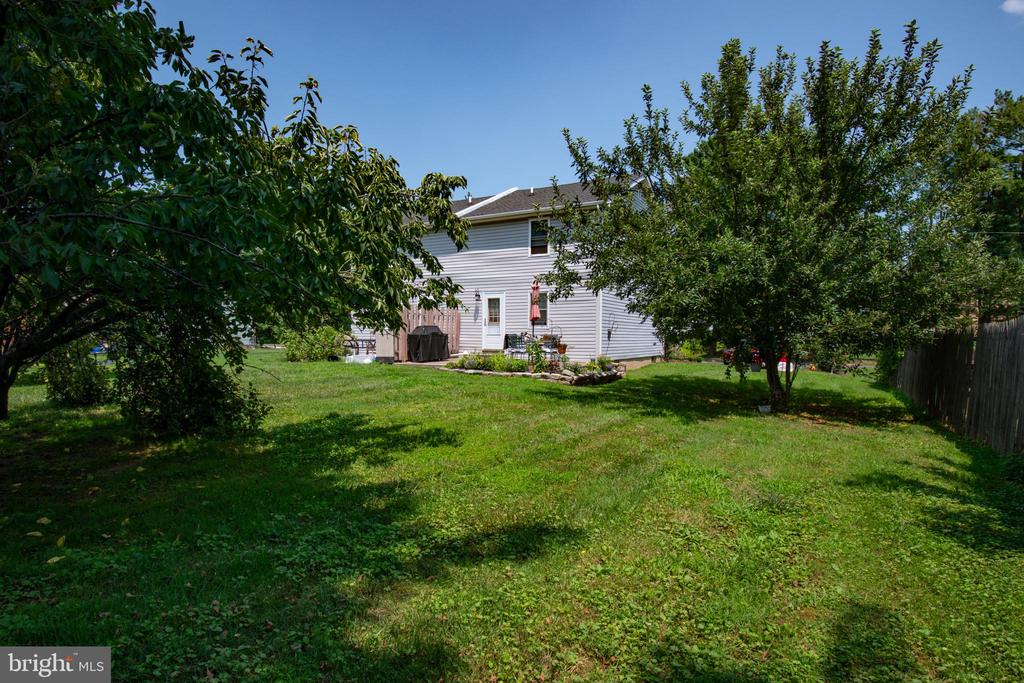 426 OLIVE STREET