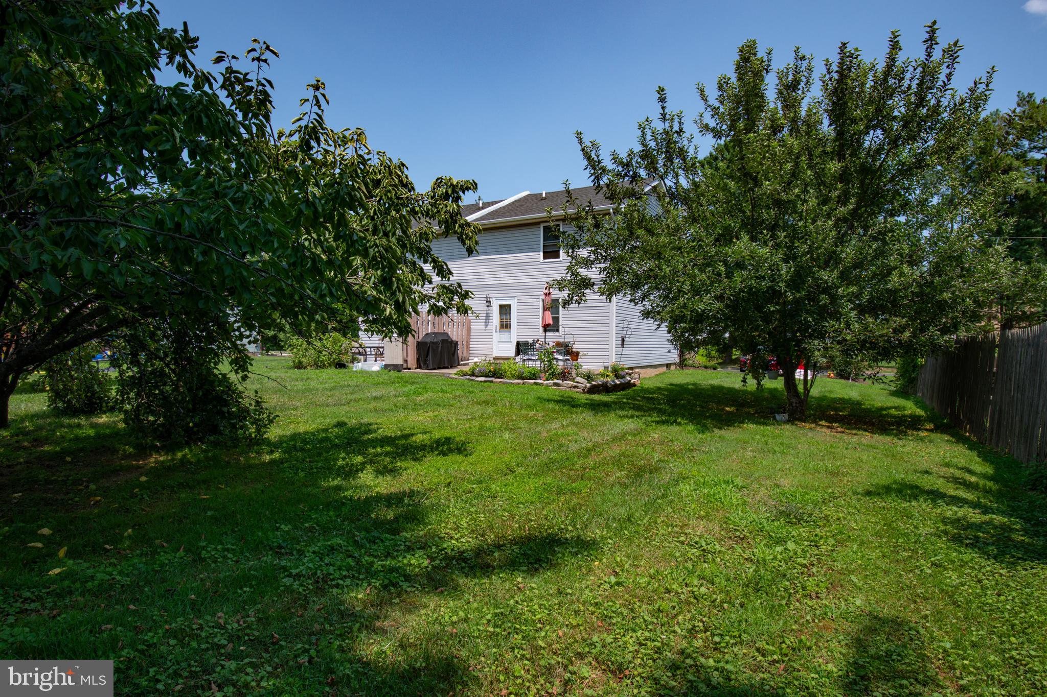 426 OLIVE STREET