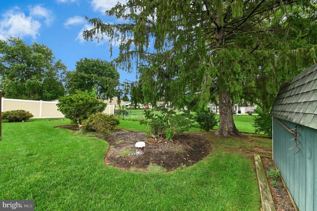 Backyard with a broad lawn, mature evergreen tree, garden bed, privacy fence, and shed.