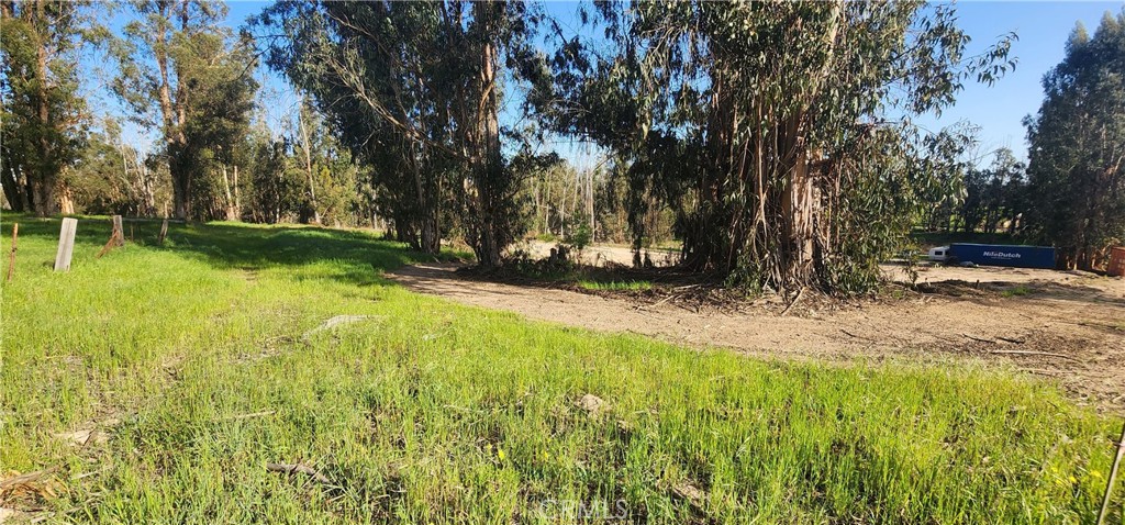 1250 Willow Road