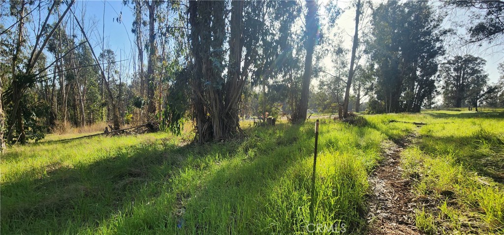 1250 Willow Road