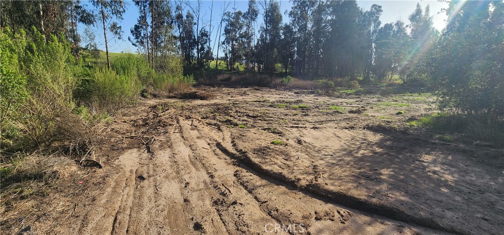 1250 Willow Road