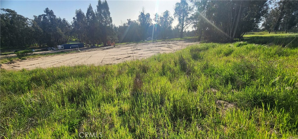 1250 Willow Road