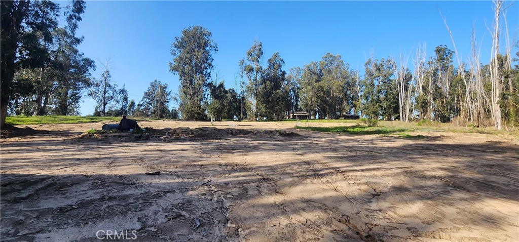 1250 Willow Road