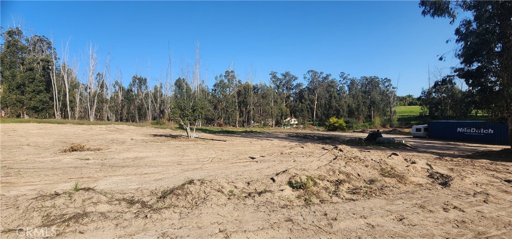 1250 Willow Road