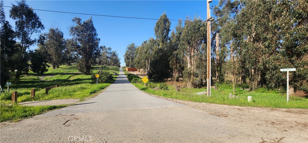 1250 Willow Road