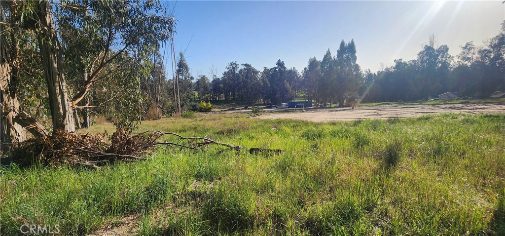 1250 Willow Road